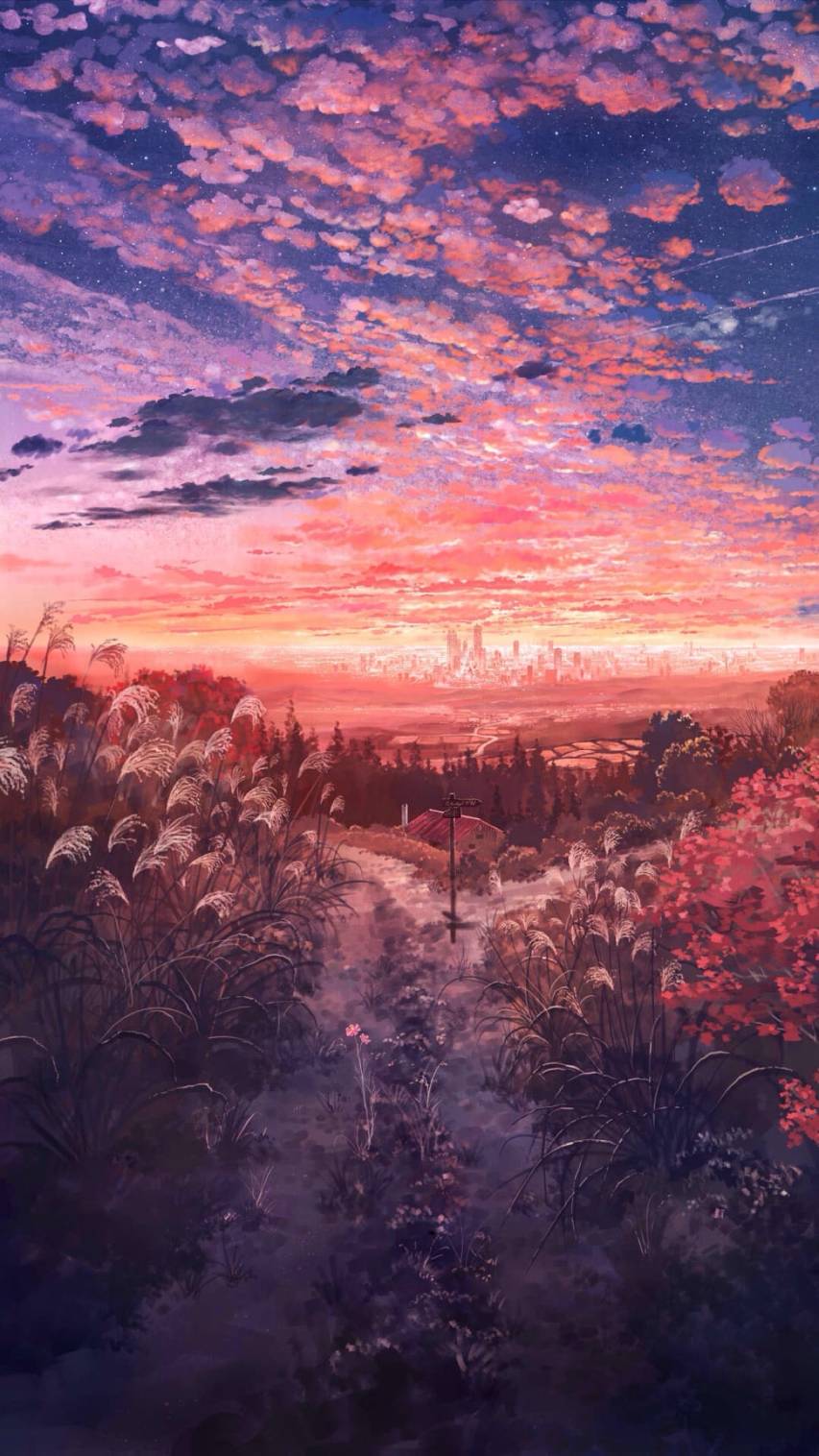 Sunset Landscape iPhone SE Background Wallpapers