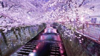 inspirational Japan Landscape Wallpapers Pic