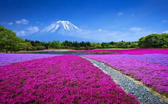 Super Aesthetic Japan Landscape hd Wallpapers