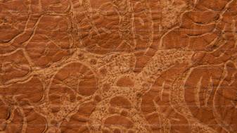 1920x1080 Leather Texture Backgrounds, Western