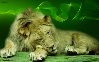 Abstract, Green, Free Desktop Lion Backgrounds