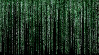 The Most Beautiful the Matrix Movie Wallpaper