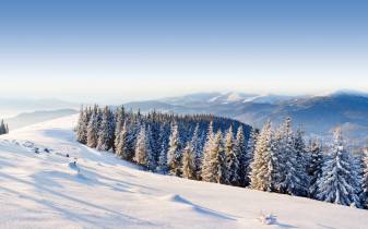 Most Popular Winter Landscape
