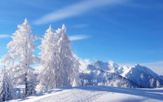 Winter Wallpapers and Background images
