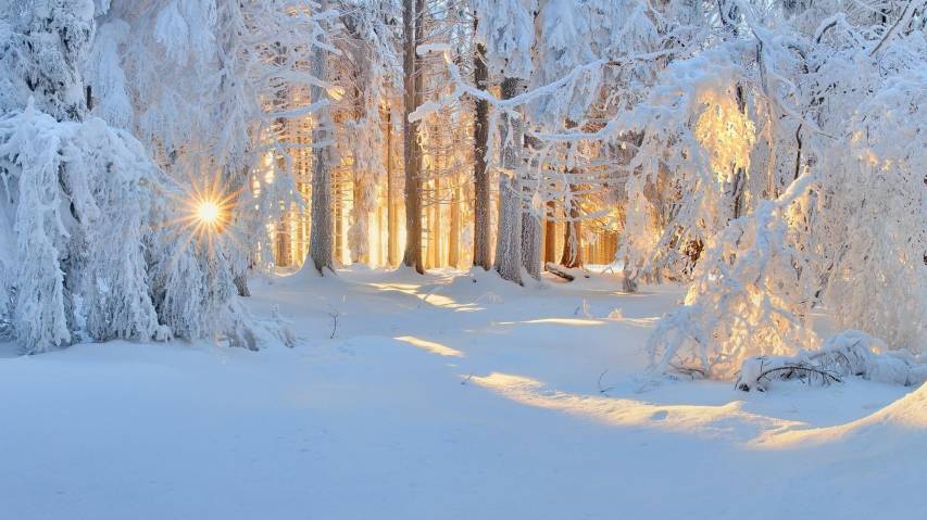 Awesome Sunlight and Winter Wallpapers