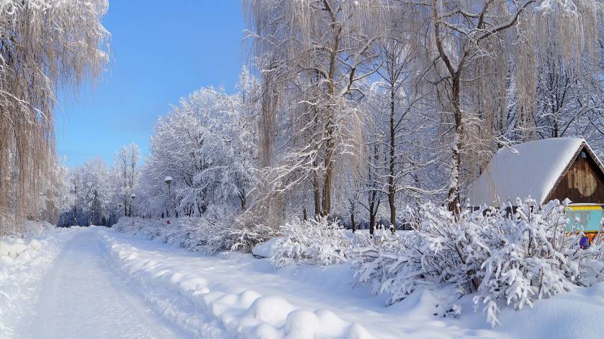 Winter Picture Backgrounds free