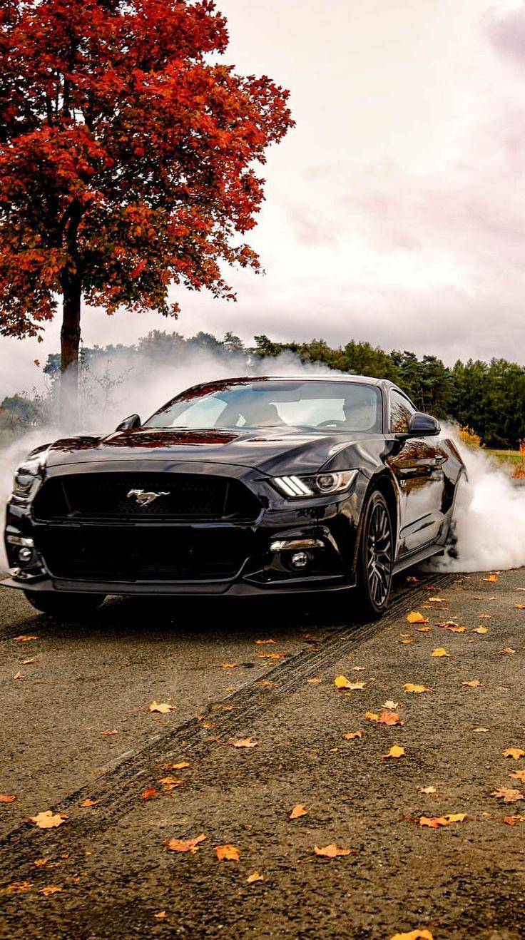 Black Ford Mustang Phone Wallpapers Pic
