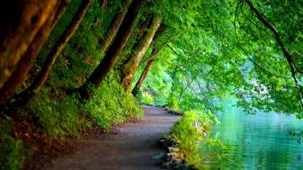 720p, Green Nature Landscape Pc Wallpapers