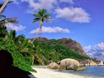 Beach, island, palms, free Nature Wallpapers