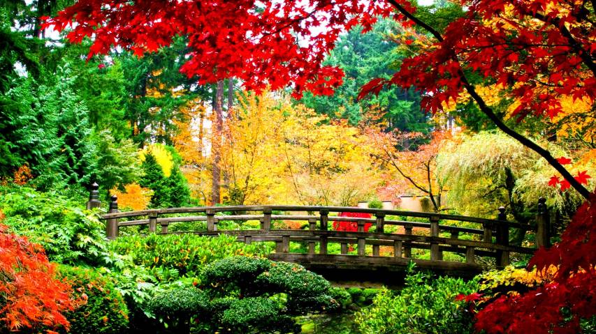 Spring, Japanese, hd Nature Computer free Wallpapers