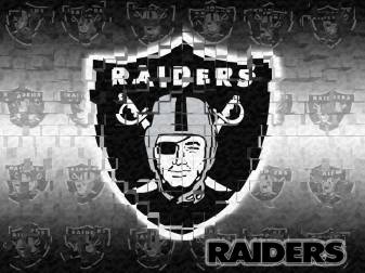 Aesthetic Raiders Mobile Background free