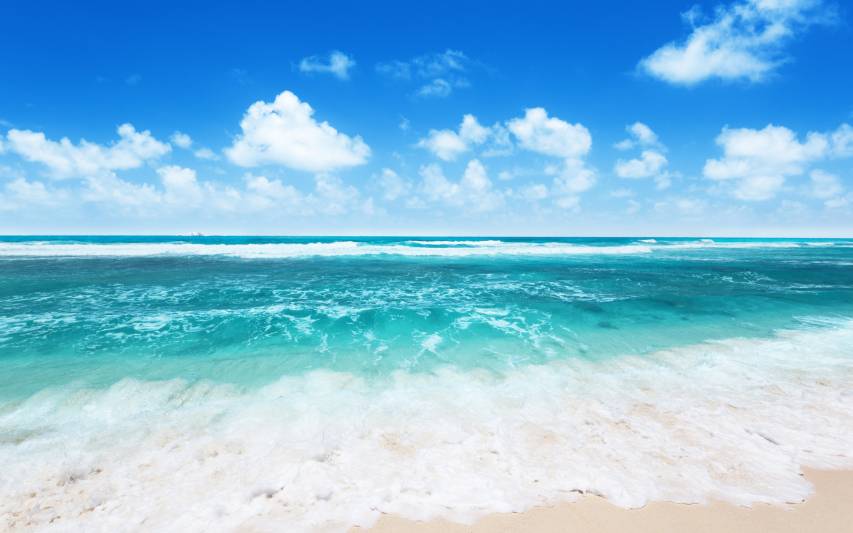 Experience the Beauty of the Sea with the Ocean Background