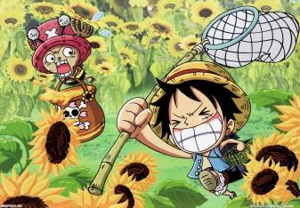 One Piece Wallpaper Pictures for Pc