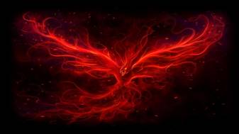 Cool Dark Red Phoenix image Wallpapers
