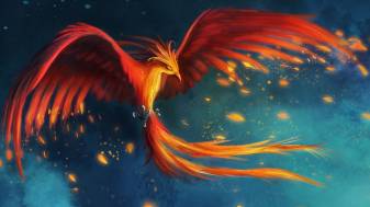 Phoenix Bird 1080p Backgrounds