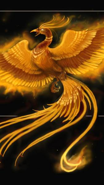 Phoenix Bird iPhone hd Picture image Backgrounds