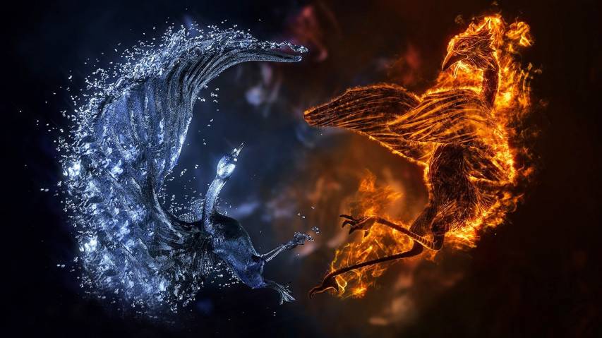 Cool Phoenix Picture Wallpapers