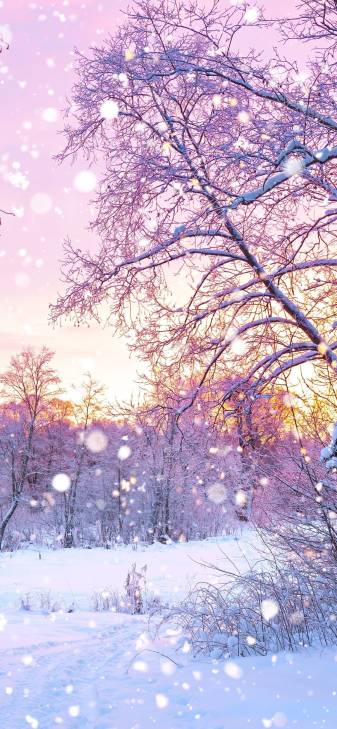 Cool Pink Aesthetic Snow iPhone Wallpapers