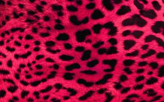 Pink cheetah pattern Wallpaper