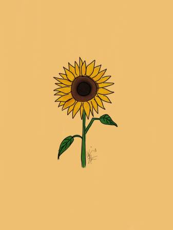 Pretty Aesthetic Sunflower picture Wallpapers