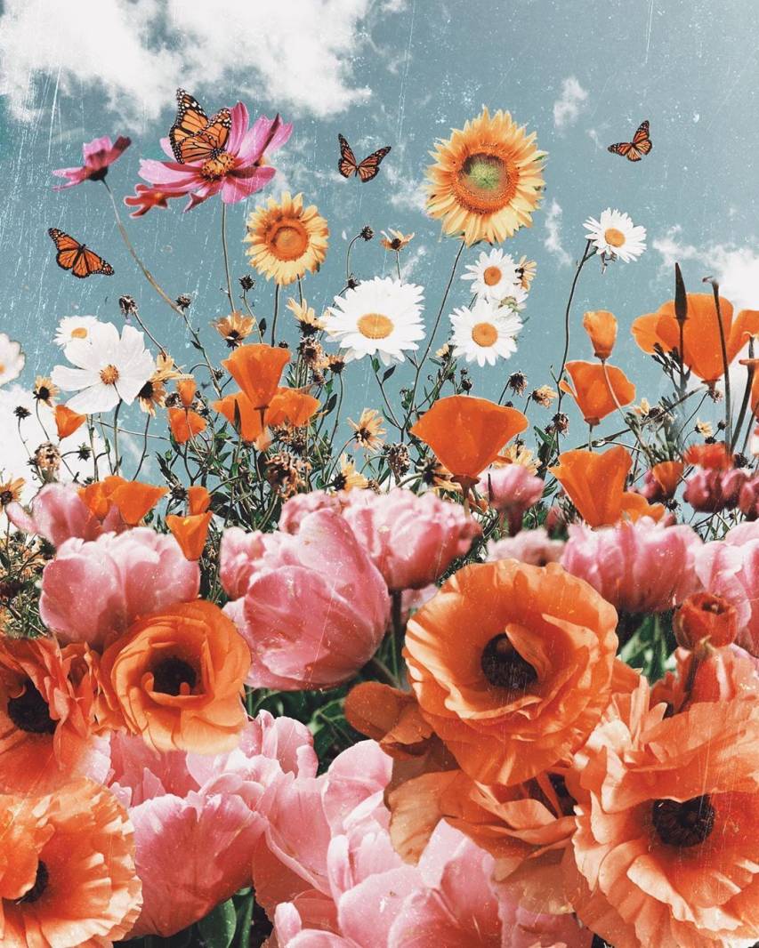 Aesthetic summer flower Wallpapers Download  MobCup