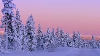 Pretty Snow Landscape Background