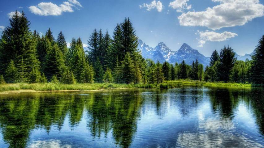 Pretty, Forest, Lake, Nature, Landscape Background