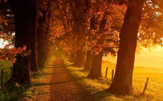 Sunset Fall Landscape Wallpapers