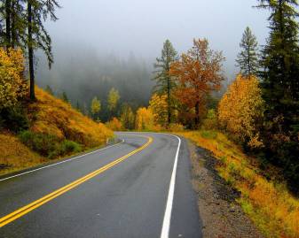 Road, Nature, Fall Scenery Backgrounds