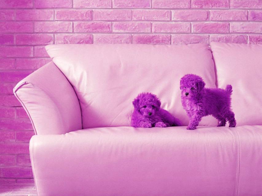 Pretty Purple Aesthetic Wallpapers