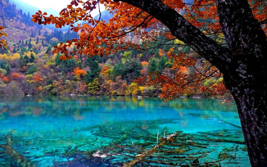 Pretty Autumn Scenery Wallpapers and Background images