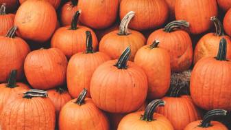 Aesthetic Halloween Pumpkin Wallpaper