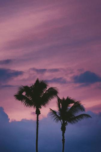 Purple Aesthetic Scenery 4k and 5k Backgrounds for Android