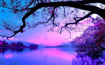Awesome Purple  Wallpaper, Sunset, Tree, Lake, Nature