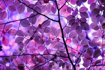 Purple leaves Mosaic Wallpaper