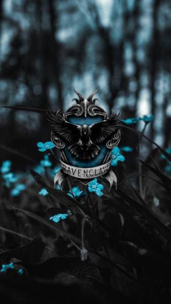 Ravenclaw Phone Background for Download