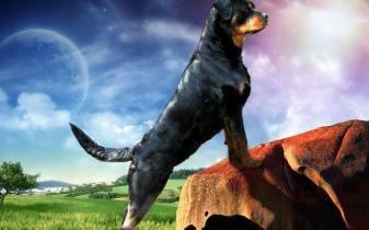 Cool Fantasy Rottweiler Background Wallpapers