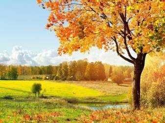 Autumn Landscape Screen Savers Backgrounds