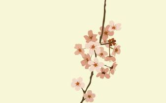Simple Floral Backgrounds for Pc
