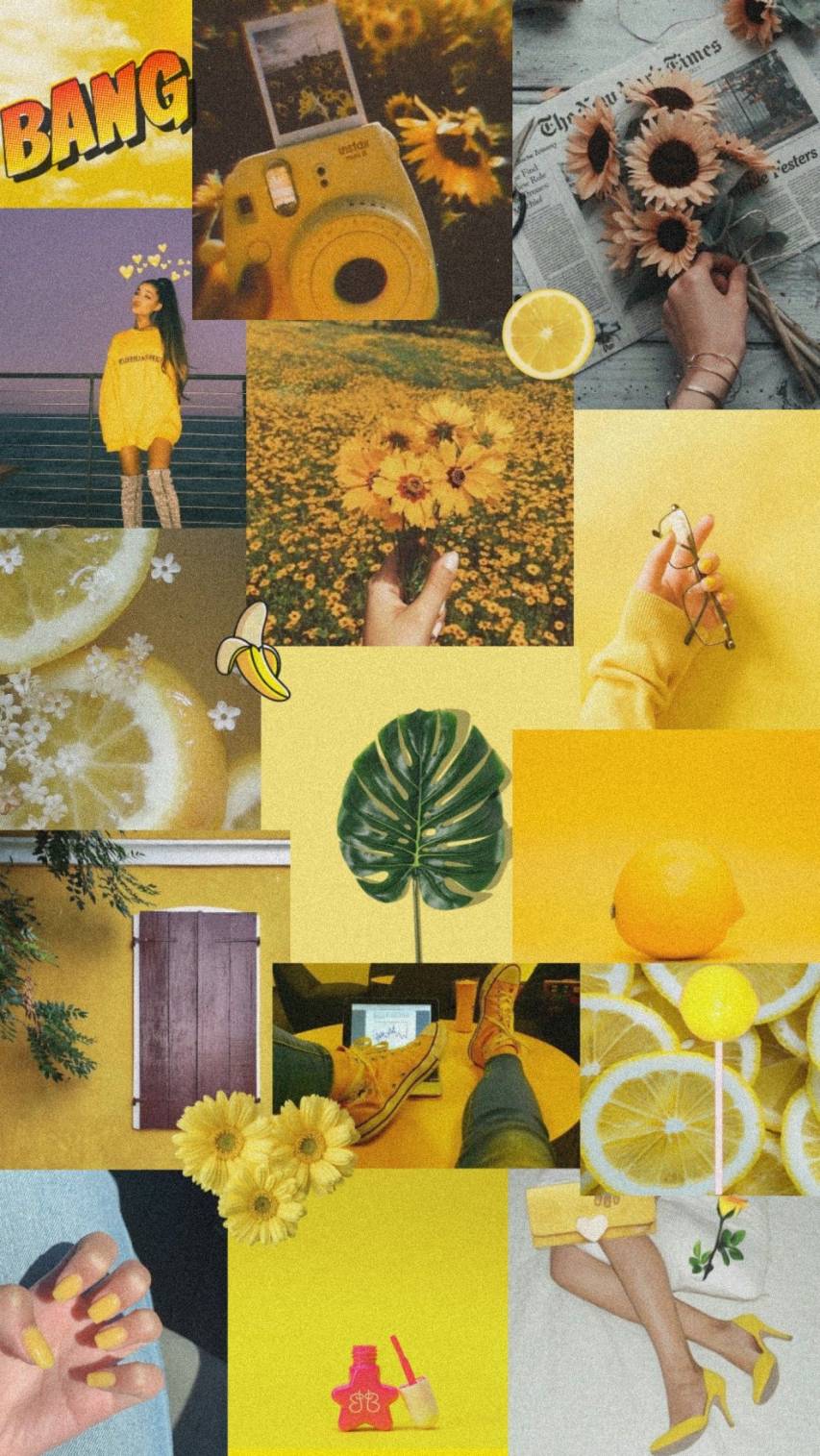 Super Soft Yellow Aesthetic iPhone Background Pictures