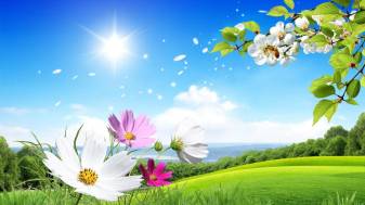 Enjoy Spring With This Gorgeous Background