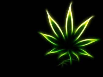 Weed Abstract Wallpaper Hiweed Related