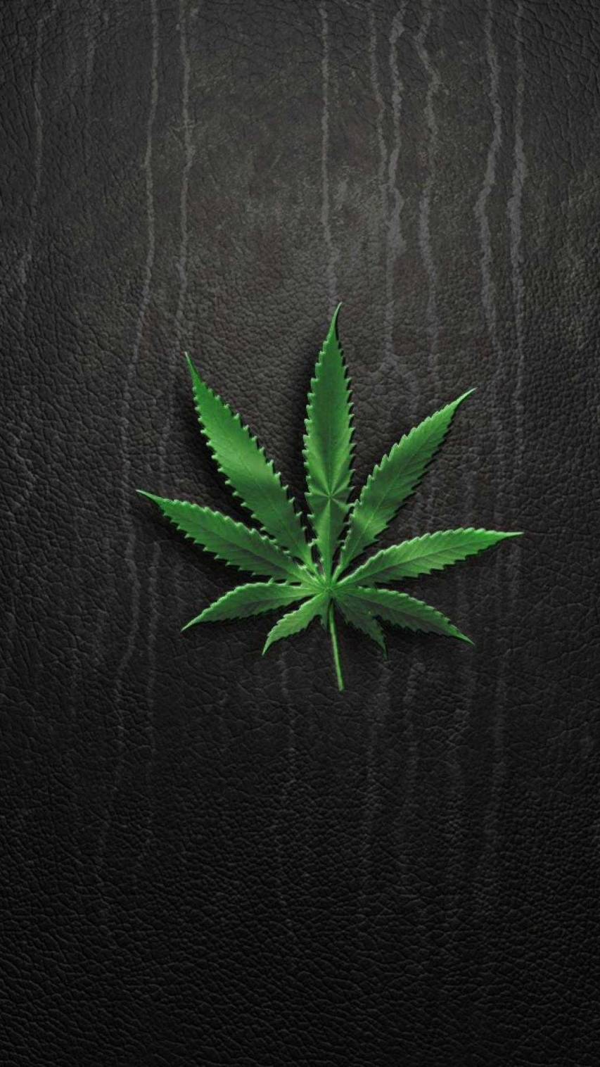Stoner Wallpapers  Top Free Stoner Backgrounds  WallpaperAccess
