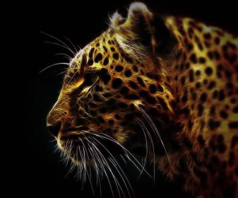 Leopard Animal free Wallpaper for Tablet