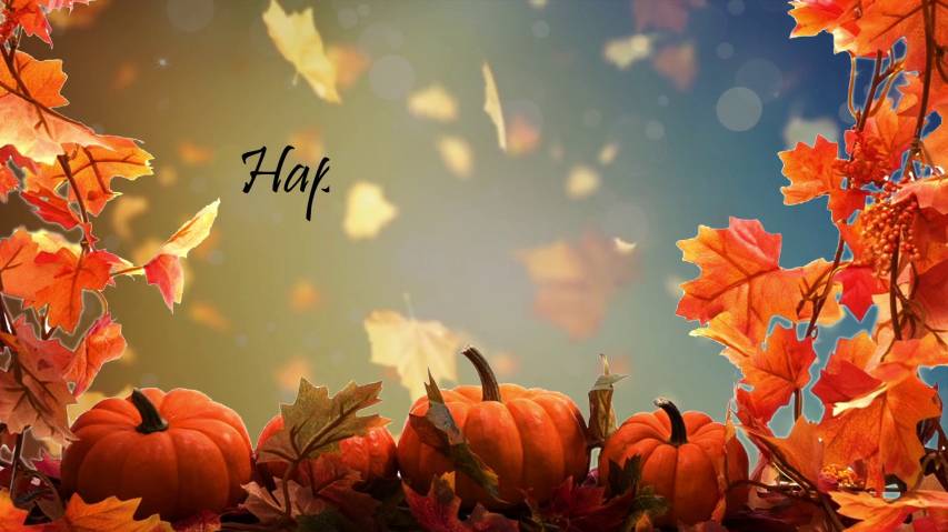 Best free Pictures of Thanksgiving Desktop Backgrounds