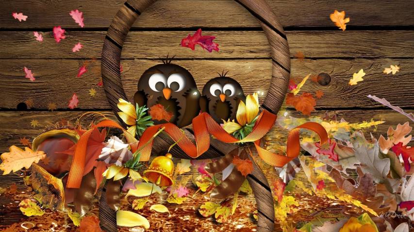 SuperM Fall aesthetic autumn cute halloween kpop new sm thanksgiving  HD phone wallpaper  Peakpx