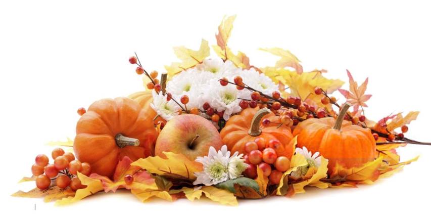 Super Thanksgiving image Backgrounds for Mac