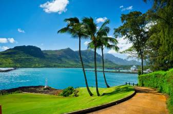 The Most Beautiful Hawaiian