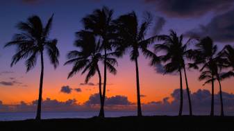 Beautiful Hawaii Sunset Wallpapers 1080p