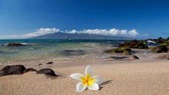 Hawaii Wallpapers and Background images